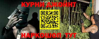 гидра Заволжье