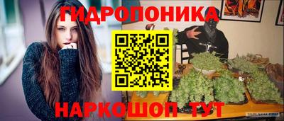 гидра Заволжье
