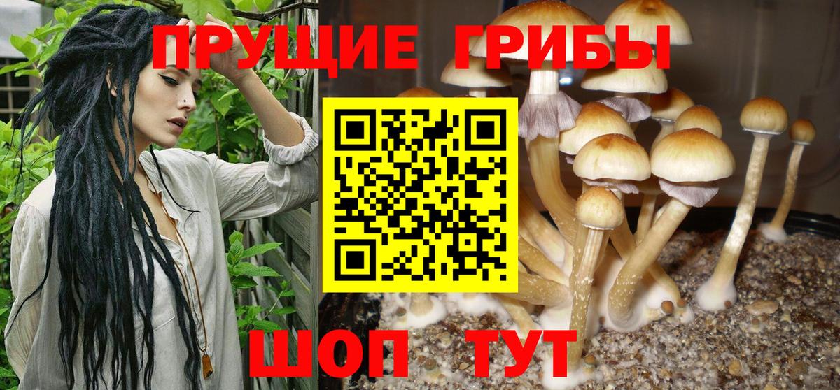 Галлюциногенные грибы ЛСД Тында