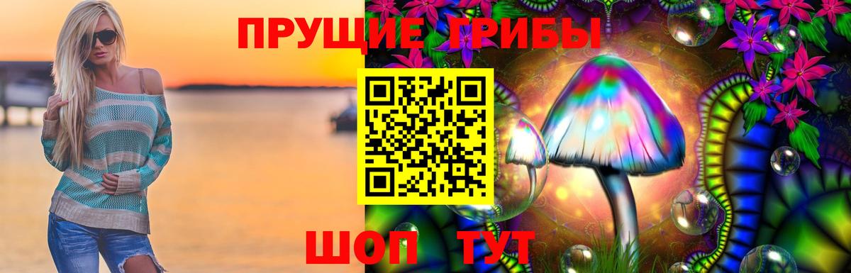 Тында  Галлюциногенные грибы Magic Shrooms  Вход с VPN  Галлюциногенные грибы прущие грибы 